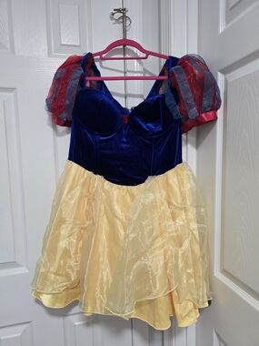 Plus Size Cottage Princess Costume Dress